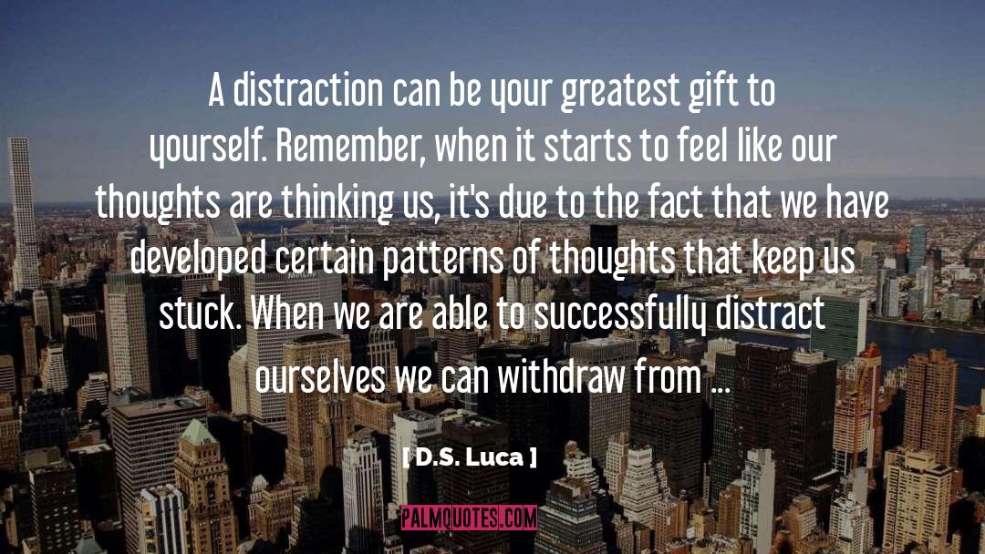 D.S. Luca Quotes: A distraction can be your