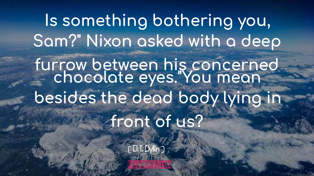 D.T. Dyllin Quotes: Is something bothering you, Sam?