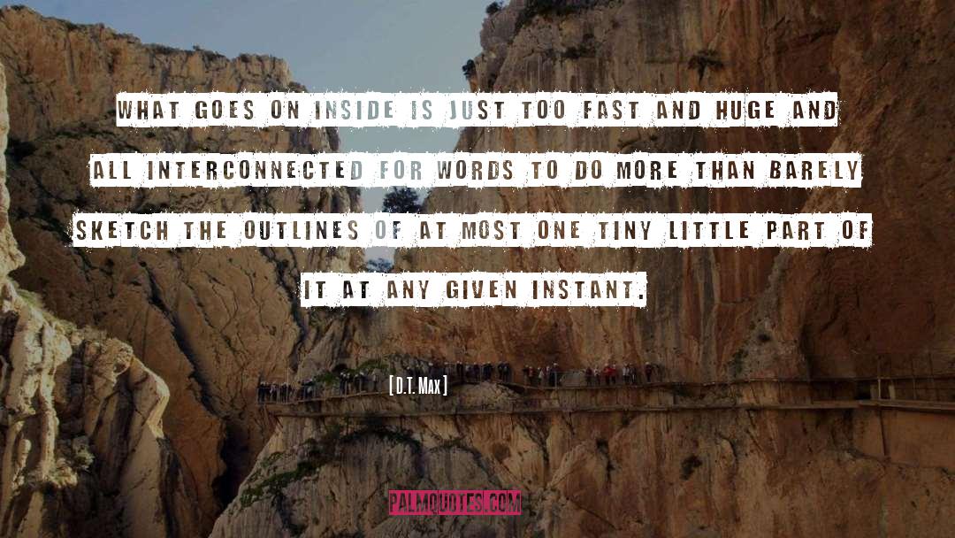 D.T. Max Quotes: What goes on inside is