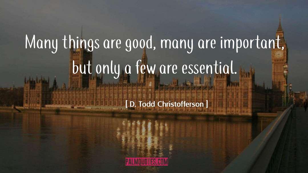 D. Todd Christofferson Quotes: Many things are good, many