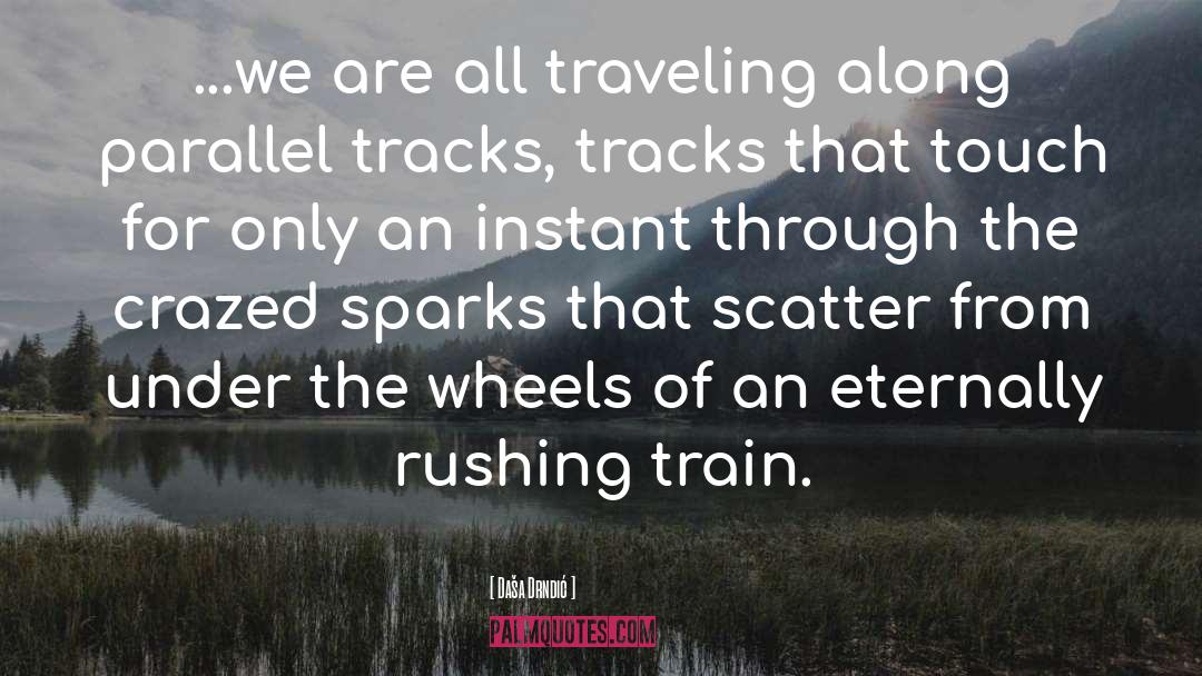 Daša Drndić Quotes: ...we are all traveling along