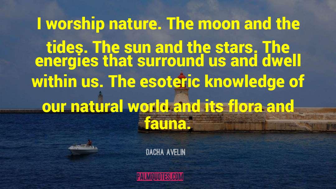 Dacha Avelin Quotes: I worship nature. The moon