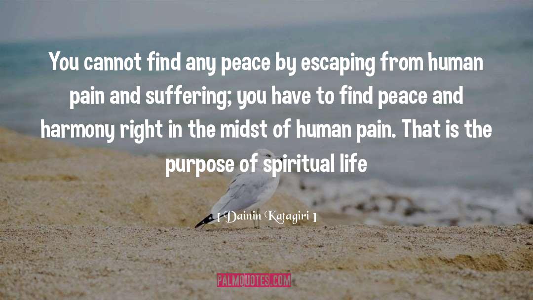 Dainin Katagiri Quotes: You cannot find any peace