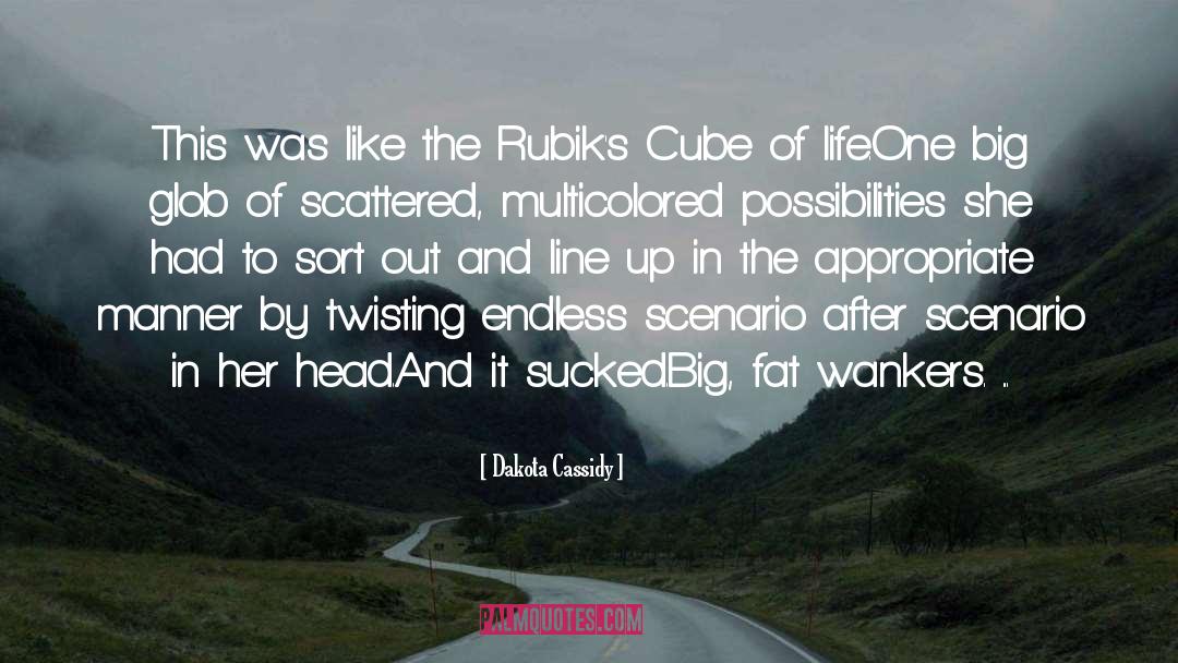 Dakota Cassidy Quotes: This was like the Rubik's