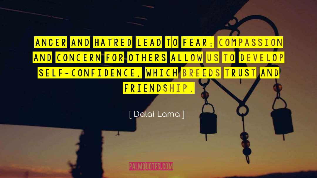 Dalai Lama Quotes: Anger and hatred lead to