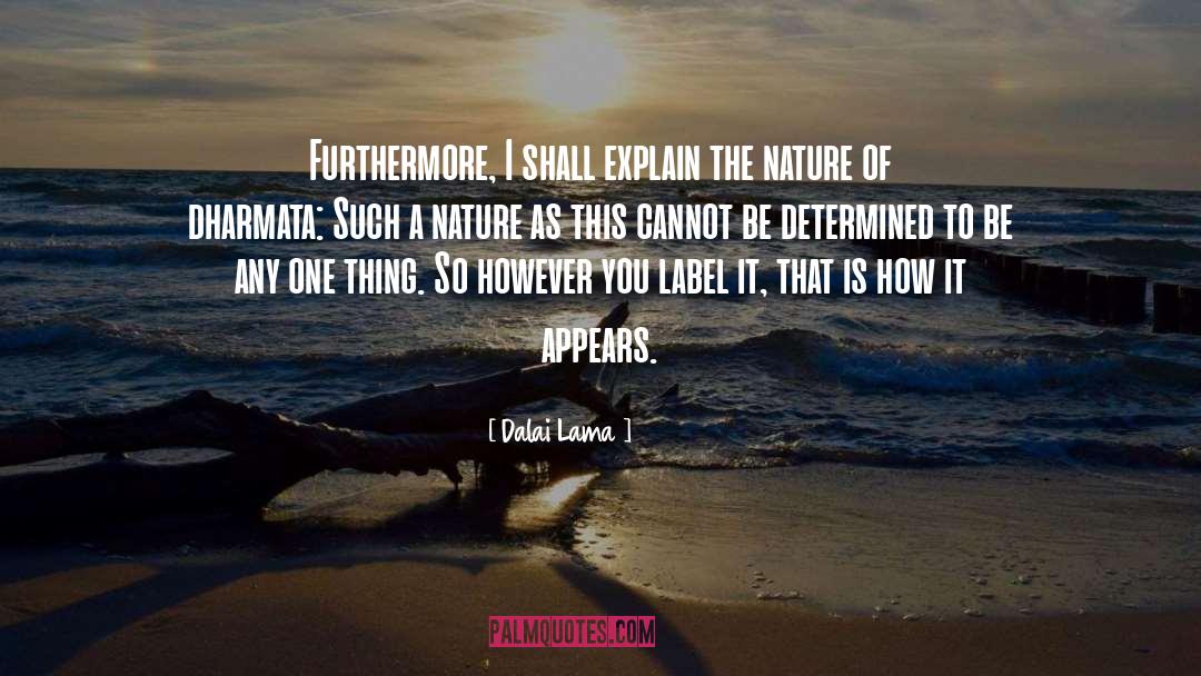 Dalai Lama Quotes: Furthermore, I shall explain the