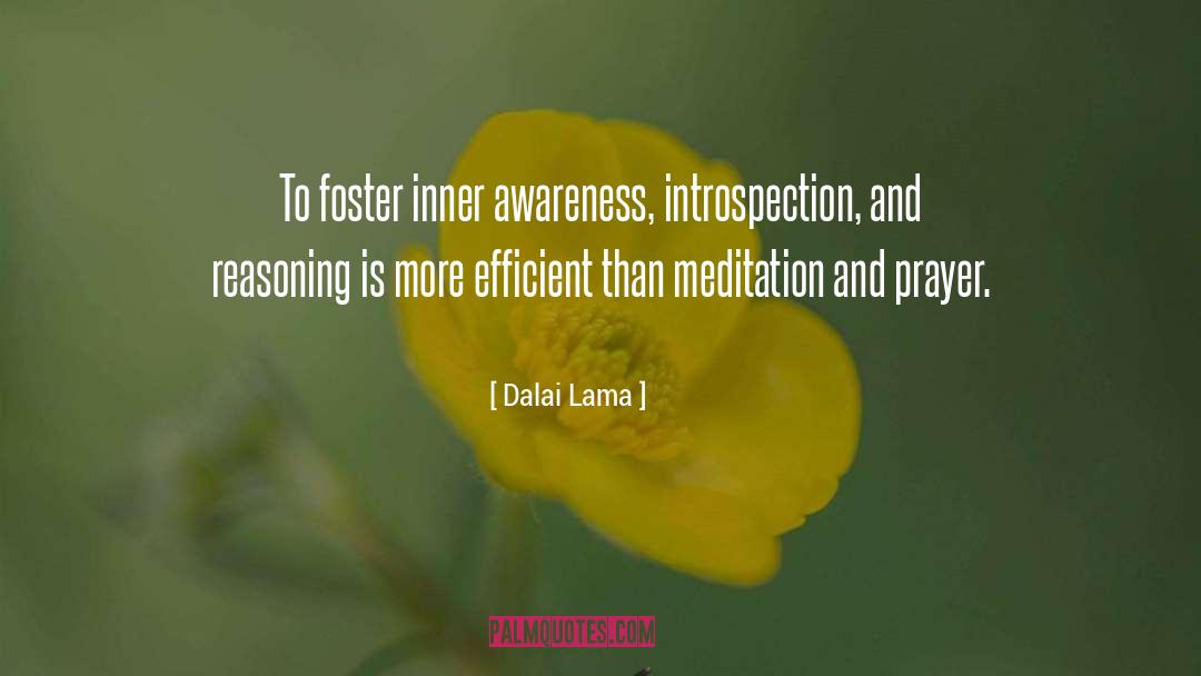 Dalai Lama Quotes: To foster inner awareness, introspection,