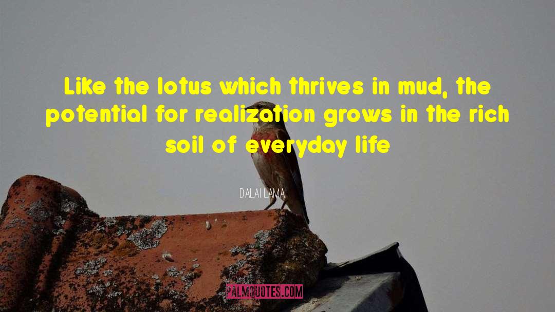 Dalai Lama Quotes: Like the lotus which thrives