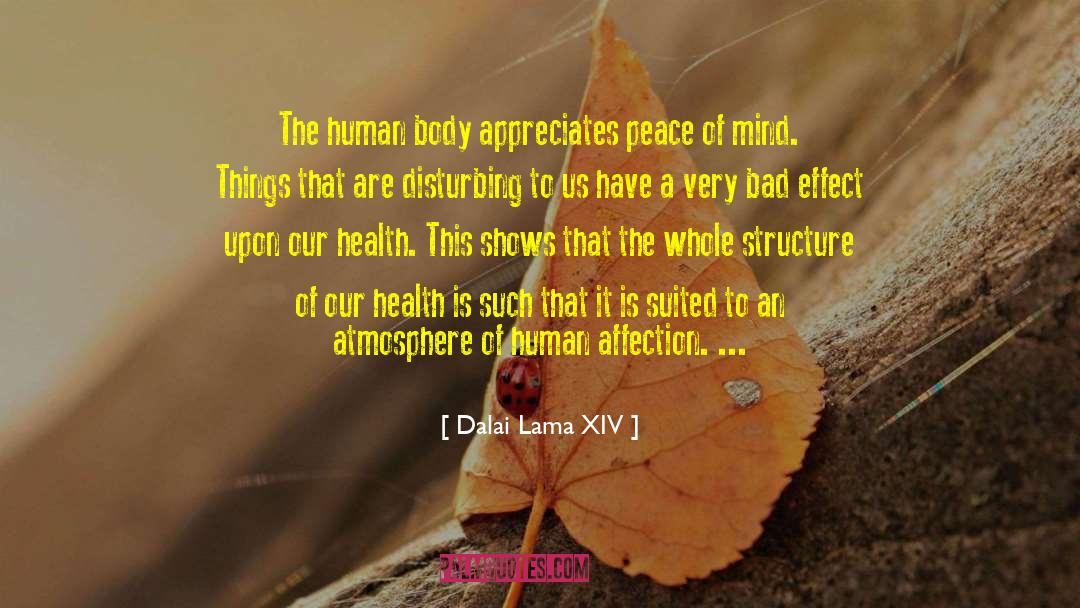 Dalai Lama XIV Quotes: The human body appreciates peace