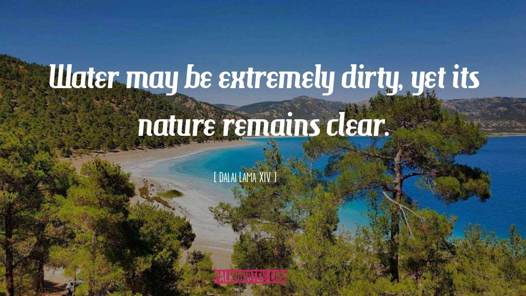 Dalai Lama XIV Quotes: Water may be extremely dirty,