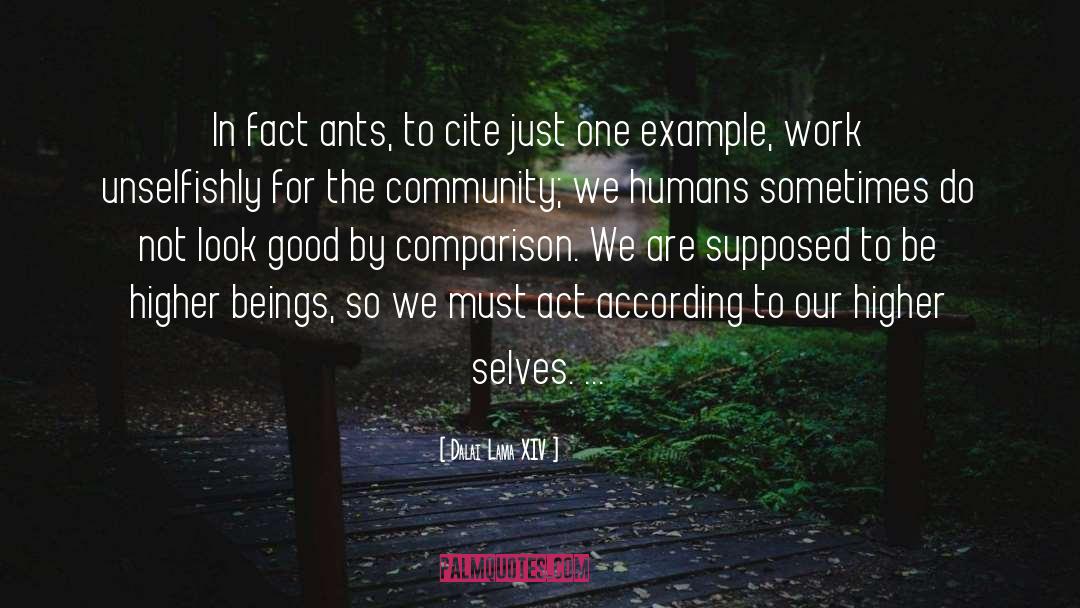 Dalai Lama XIV Quotes: In fact ants, to cite