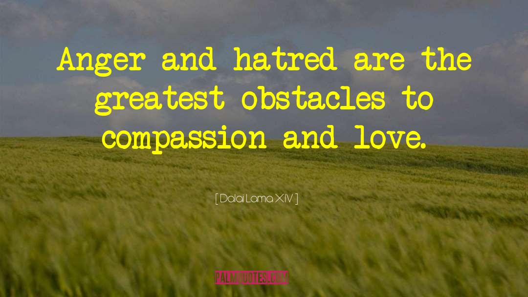 Dalai Lama XIV Quotes: Anger and hatred are the