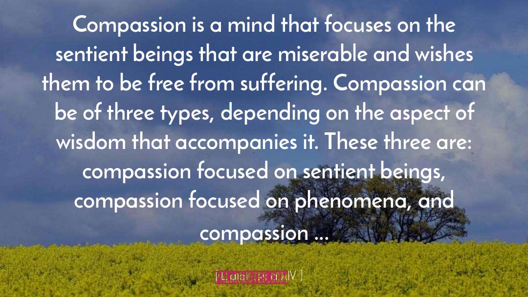 Dalai Lama XIV Quotes: Compassion is a mind that