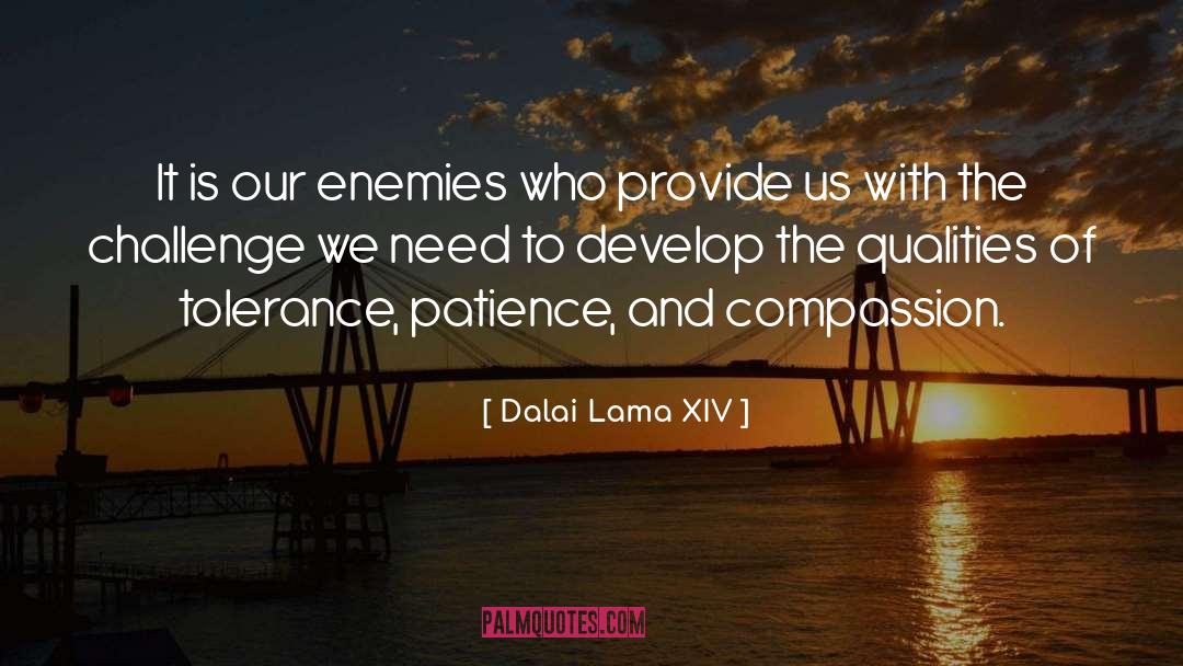 Dalai Lama XIV Quotes: It is our enemies who