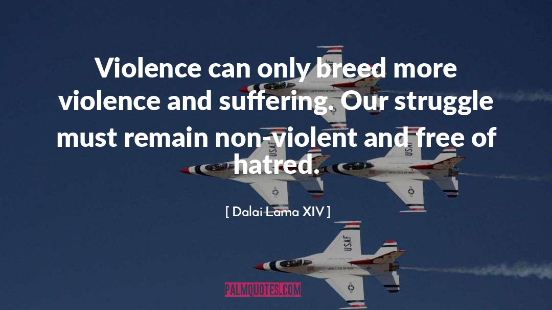 Dalai Lama XIV Quotes: Violence can only breed more
