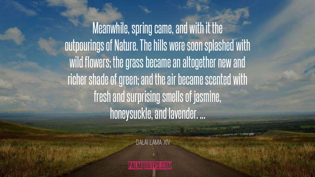 Dalai Lama XIV Quotes: Meanwhile, spring came, and with