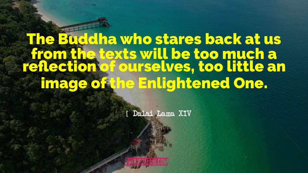 Dalai Lama XIV Quotes: The Buddha who stares back