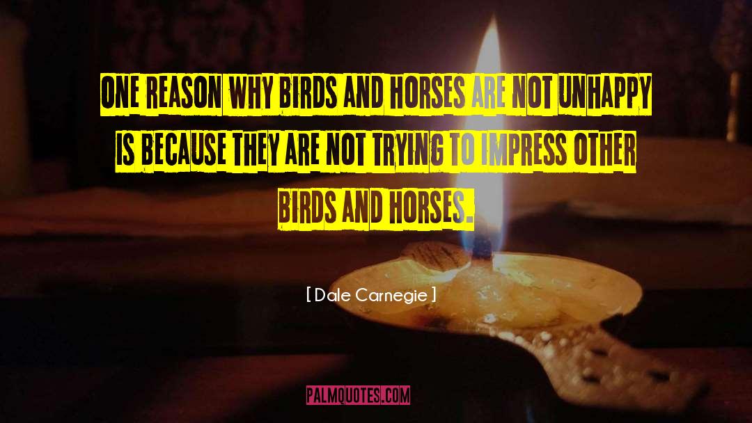 Dale Carnegie Quotes: One reason why birds and