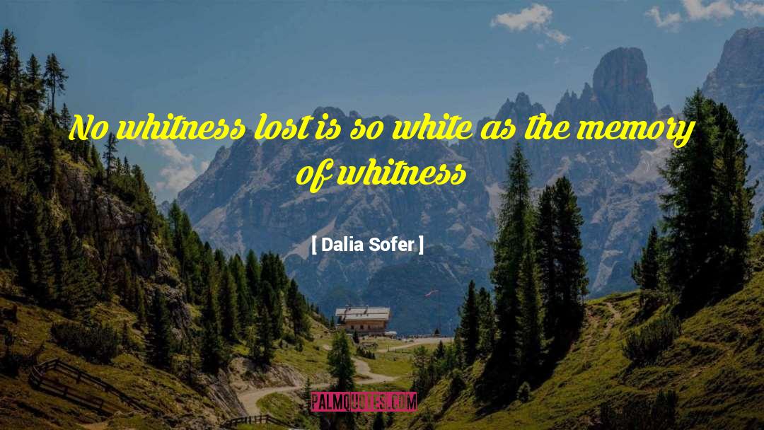 Dalia Sofer Quotes: No whitness lost is so