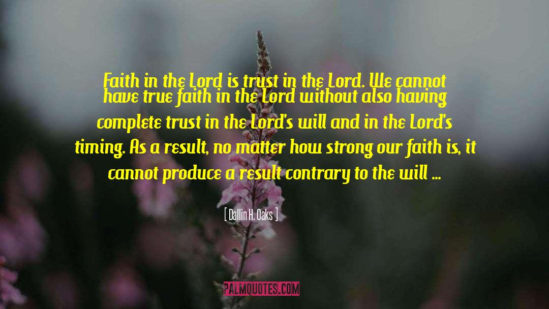 Dallin H. Oaks Quotes: Faith in the Lord is