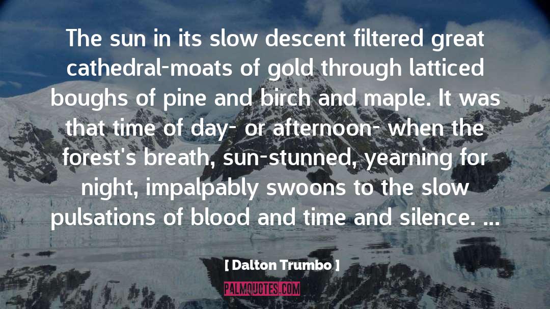 Dalton Trumbo Quotes: The sun in its slow