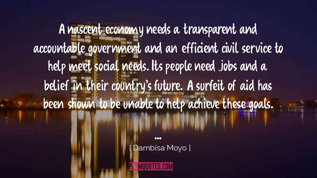 Dambisa Moyo Quotes: A nascent economy needs a