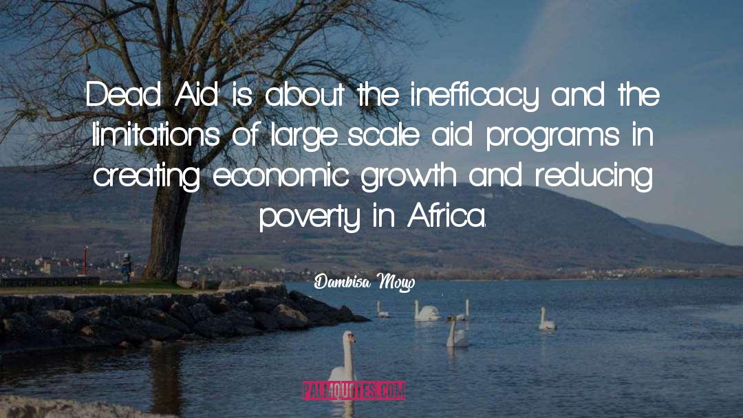 Dambisa Moyo Quotes: 'Dead Aid' is about the