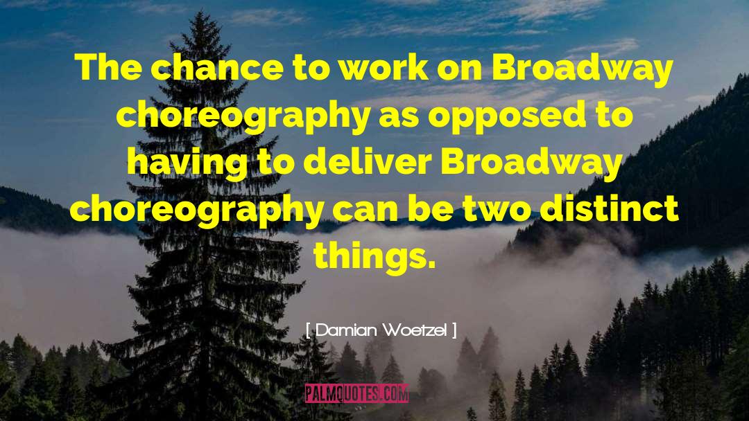 Damian Woetzel Quotes: The chance to work on