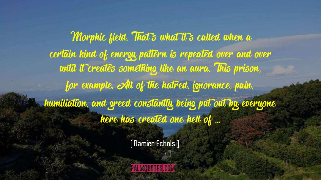 Damien Echols Quotes: Morphic field. That's what it's