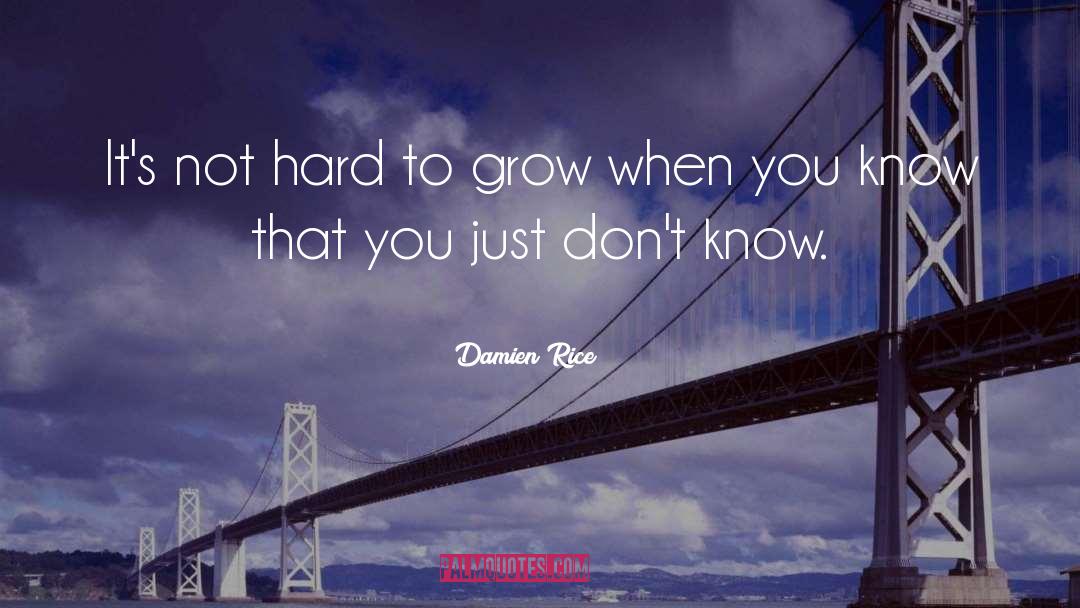 Damien Rice Quotes: It's not hard to grow