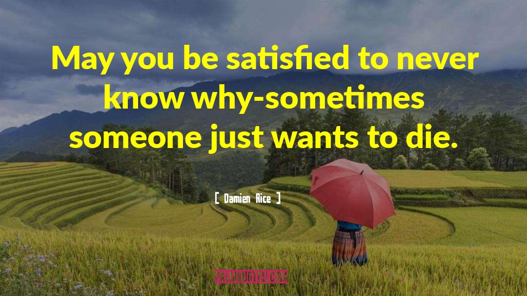 Damien Rice Quotes: May you be satisfied to