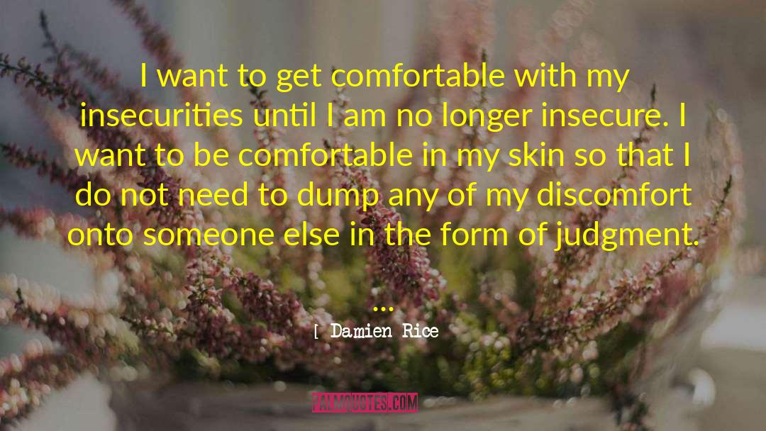 Damien Rice Quotes: I want to get comfortable