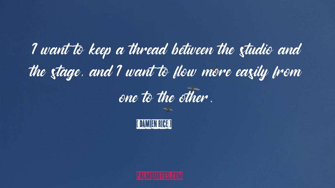 Damien Rice Quotes: I want to keep a