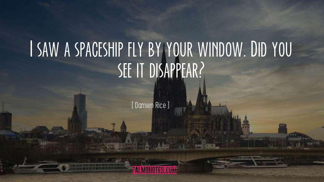 Damien Rice Quotes: I saw a spaceship fly