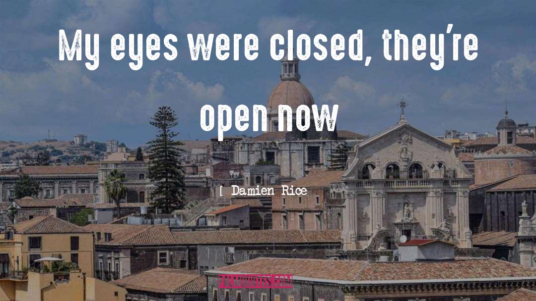 Damien Rice Quotes: My eyes were closed, they're