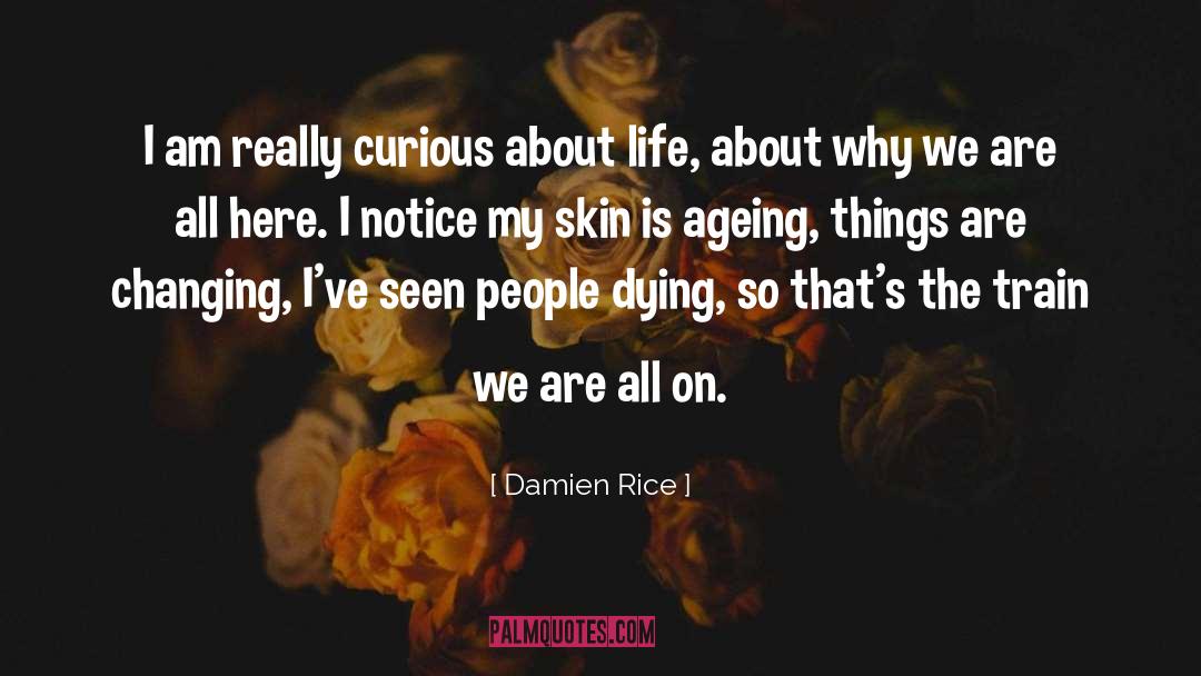 Damien Rice Quotes: I am really curious about