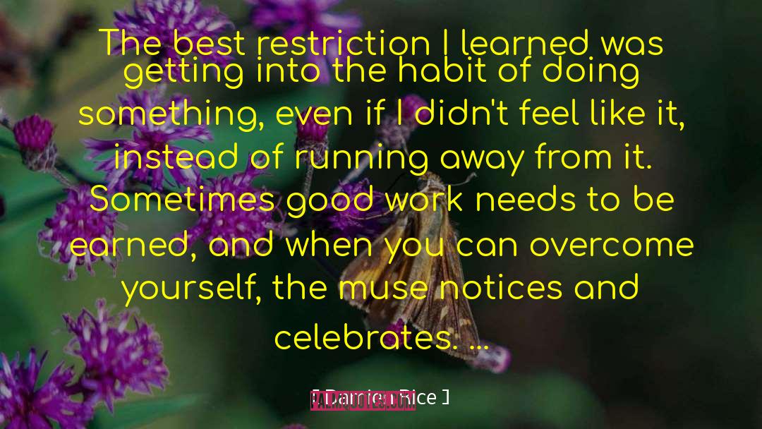 Damien Rice Quotes: The best restriction I learned