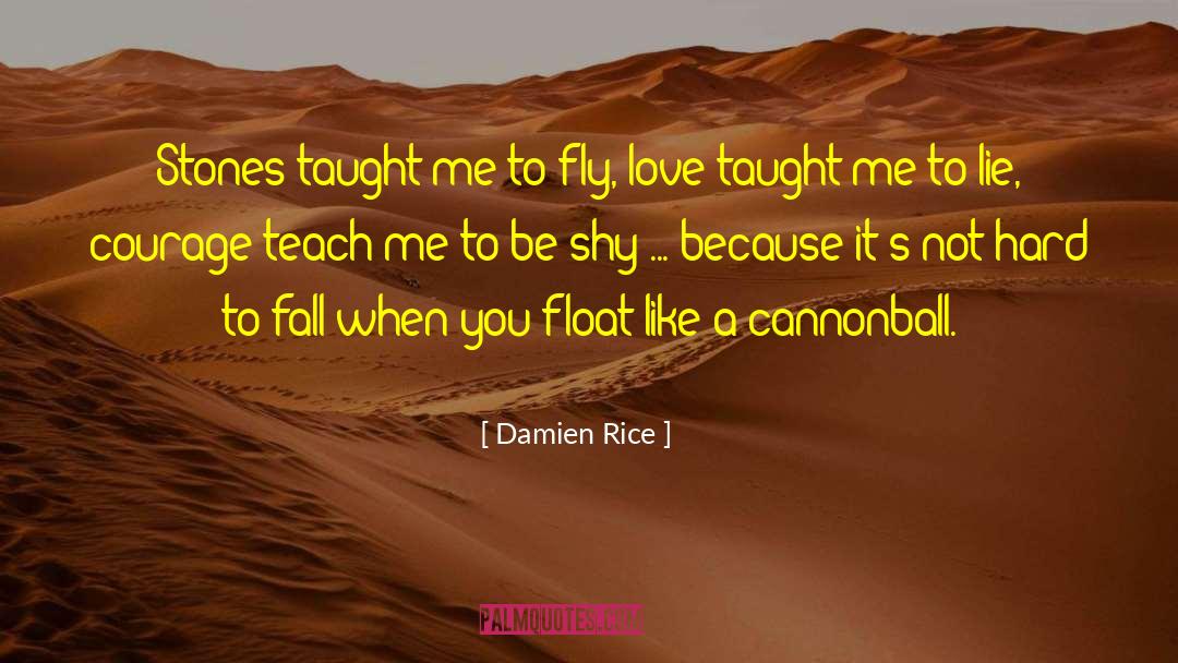 Damien Rice Quotes: Stones taught me to fly,