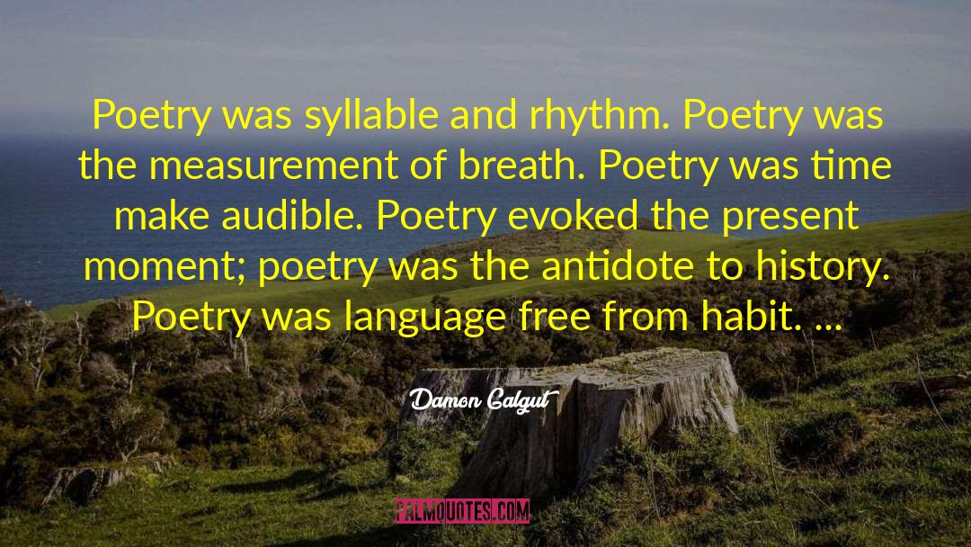 Damon Galgut Quotes: Poetry was syllable and rhythm.