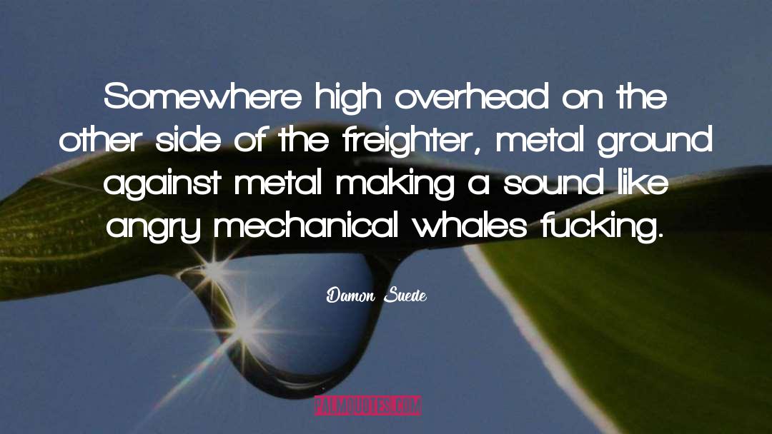 Damon Suede Quotes: Somewhere high overhead on the