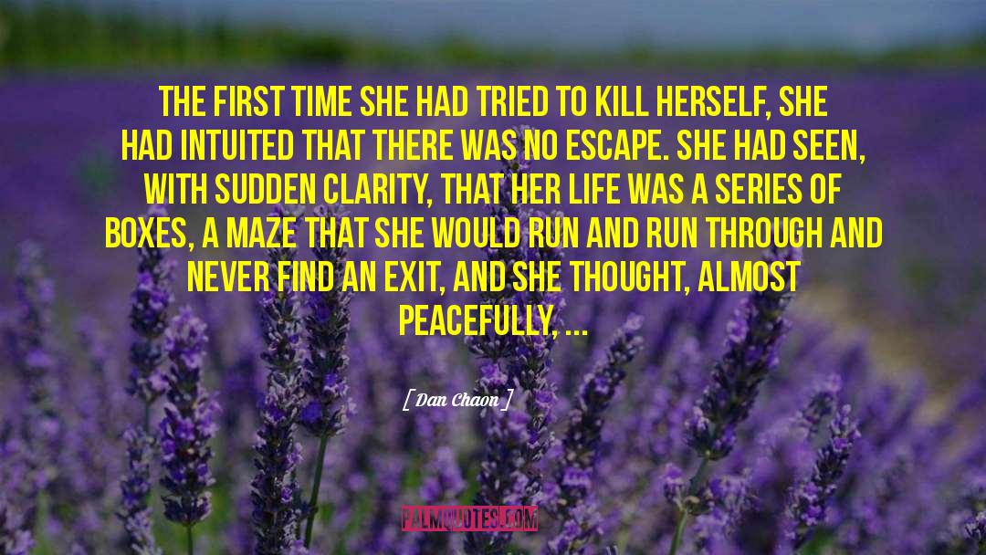 Dan Chaon Quotes: The first time she had