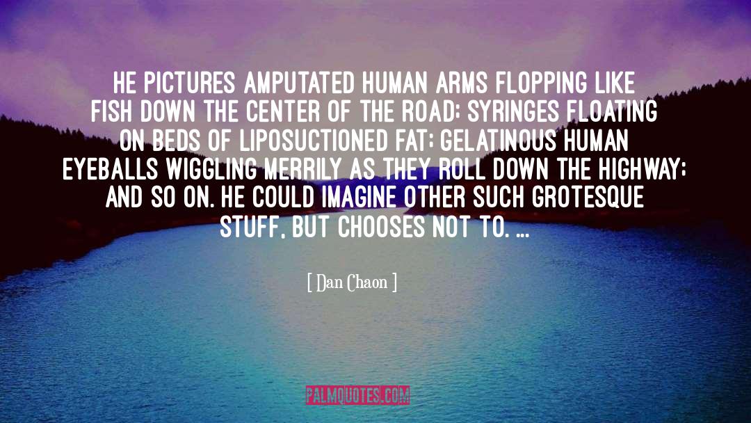 Dan Chaon Quotes: He pictures amputated human arms