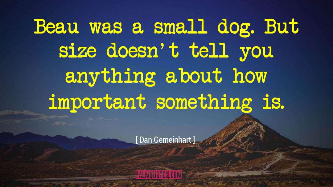 Dan Gemeinhart Quotes: Beau was a small dog.