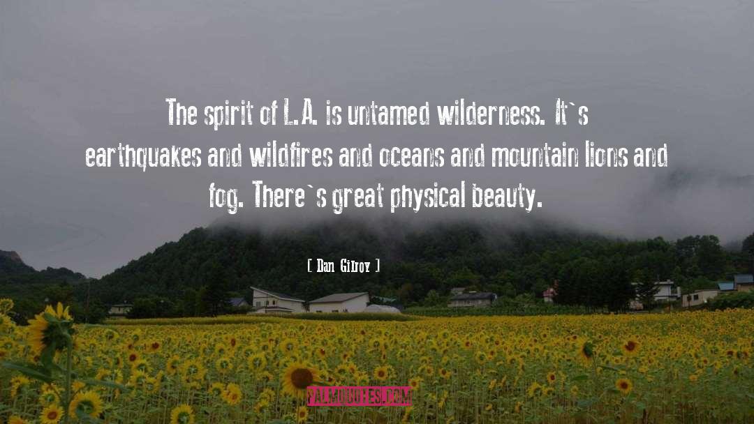 Dan Gilroy Quotes: The spirit of L.A. is