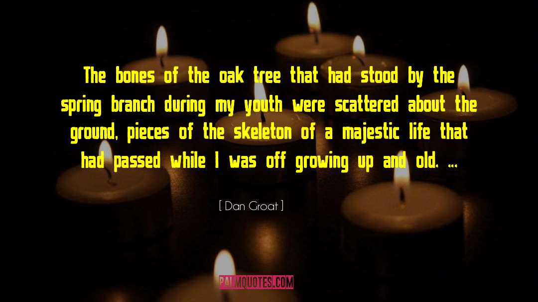 Dan Groat Quotes: The bones of the oak