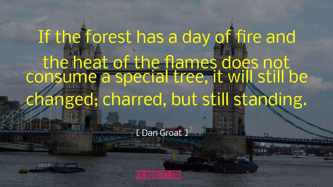 Dan Groat Quotes: If the forest has a