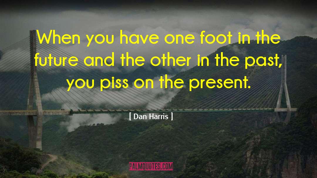 Dan Harris Quotes: When you have one foot