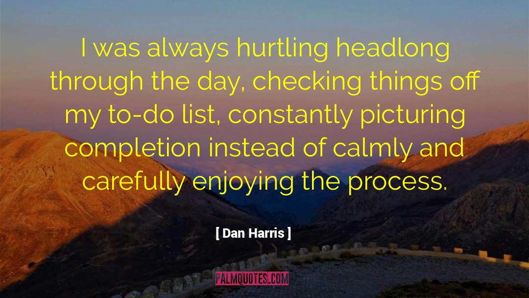 Dan Harris Quotes: I was always hurtling headlong