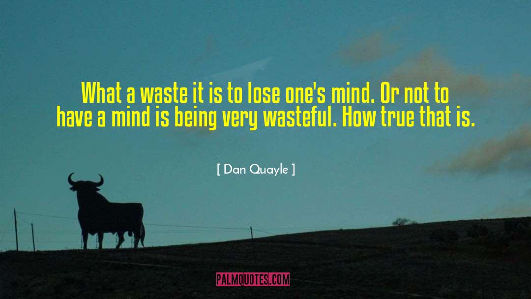Dan Quayle Quotes: What a waste it is