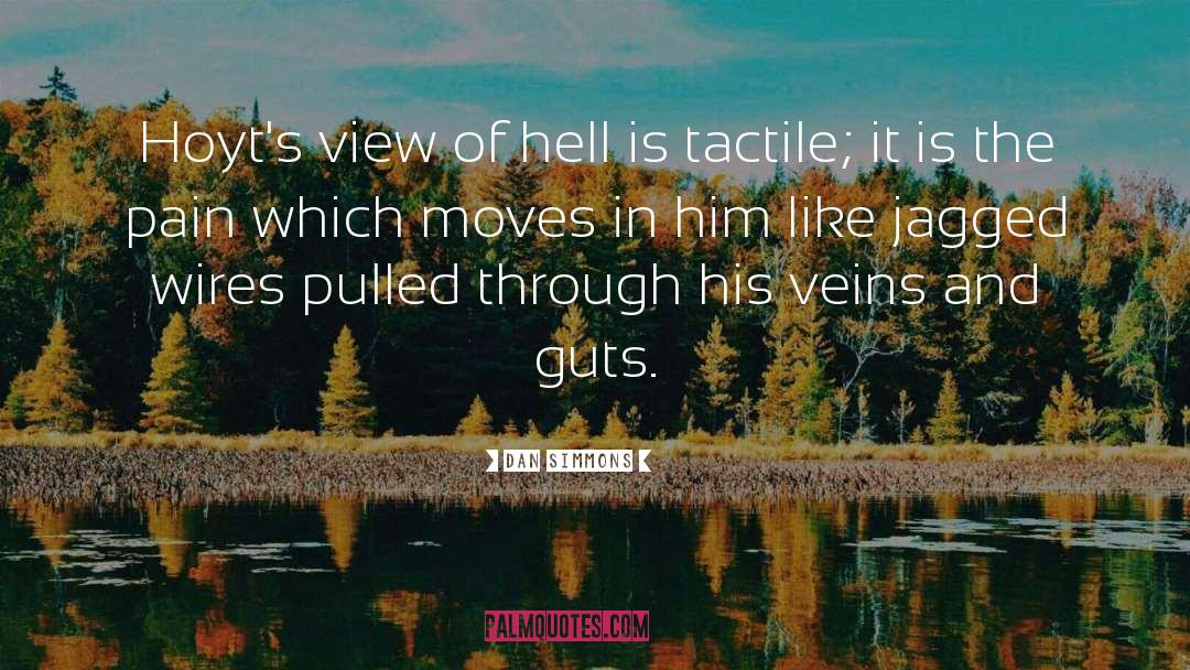 Dan Simmons Quotes: Hoyt's view of hell is